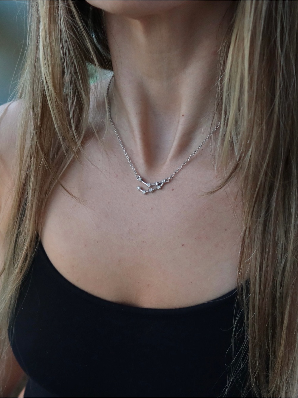 Silver Capricorn Zodiac Constellation Necklace